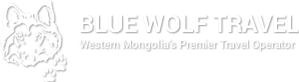 Bluewofl logo
